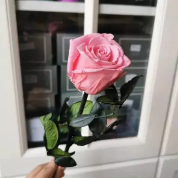  4-5CM/28cm,Naturale Conservate Rose floare cu tulpina,Real Veșnică de afișare a crescut pentru Petrecerea de Nunta Decor acasă,Ziua mamei Cadou
